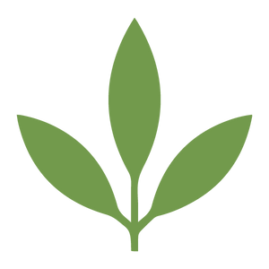 Plant Power Merch
